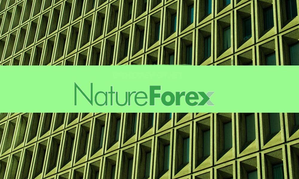 Các loại tài khoản trên sàn Natureforex